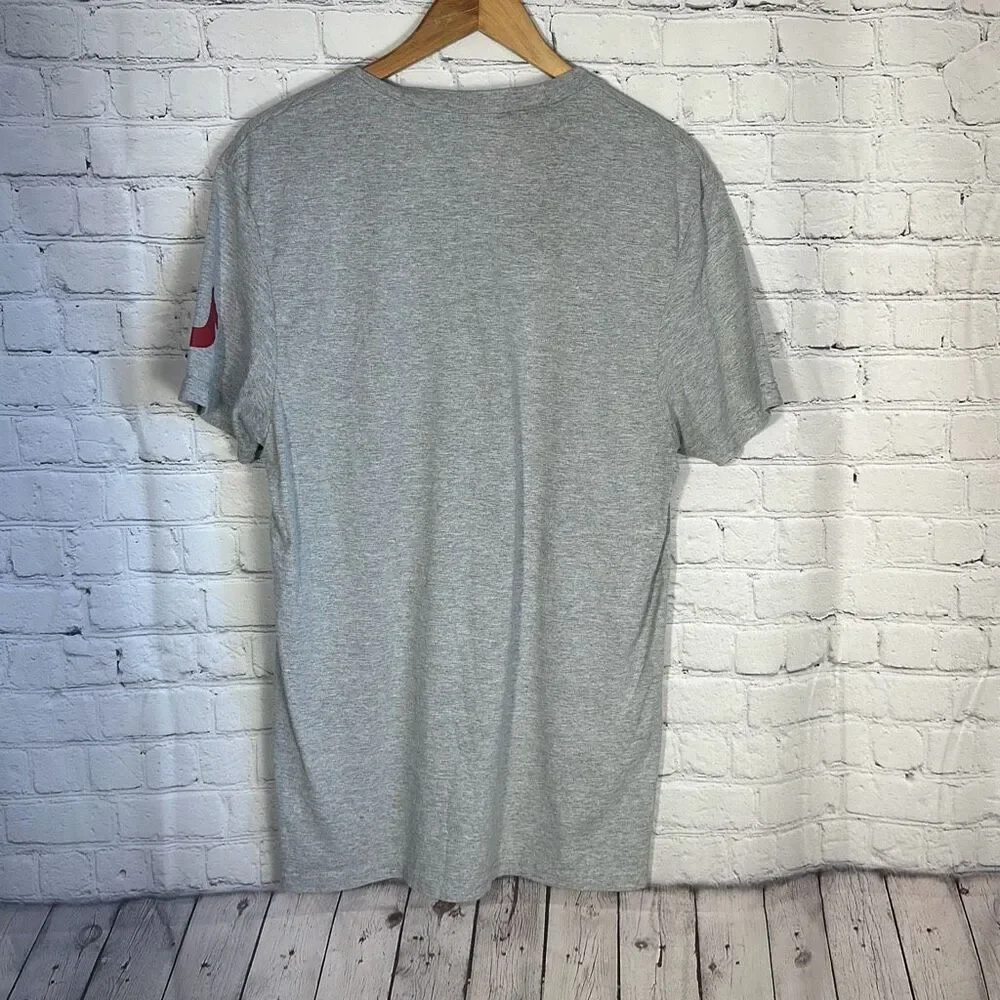 True Religion Mens Gray V neck T-shirt‎ size L Large Short Sleeve SS